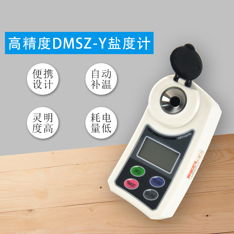 DMSZ-Y数显盐度计